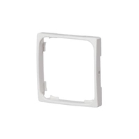 2519-B55 1-ne adapterraam Jussi seeria toote sobitamiseks Basic55 seeriasse, alpivalge