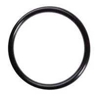 SKINDICHT® O-RING M16x1,5 13x2mm tihend