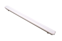 LED armatuur 50W 6500lm 130lm/w 4500K IP65 clear 1550x130x95mm läbipaistev