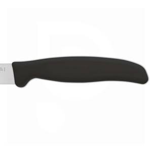 Kepsnio peilis 12cm rinkinys 6vnt. Ambrogio Sanelli nerūdijantis plienas