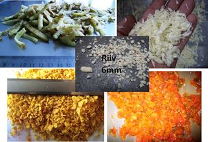 Cutter SZ-40 body with 3mm stainless steel grater disc. stainless steel