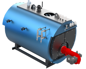 Automatic pressurized steam model GVR water tube type