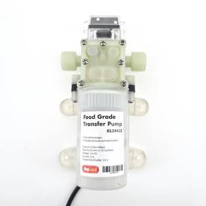 Siphon Pump Atex with 1/2" BSP thread including power supply