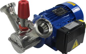 Bypass-Pumpe Liverani EP MAJOR 60 DIN65 22500L/h 400V