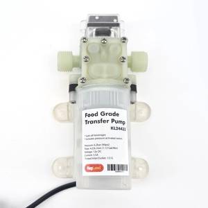 Siphon Pump Atex with 1/2" BSP thread including power supply