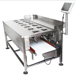 Weight packer for sticky food HWS 325