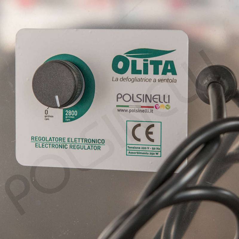 Lehtede eemaldaja elektriline Olita X võrguga