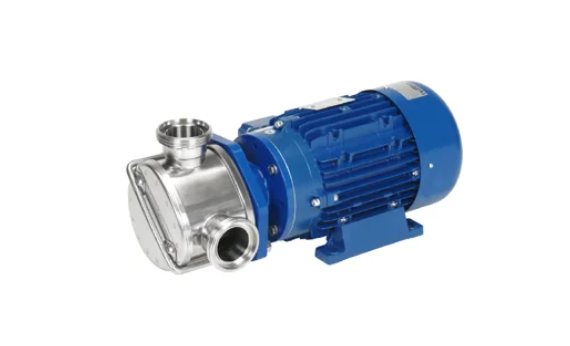 Pump Liverani EP MAXI 80 klemmühendus 43800L/h +95C 3F/400V