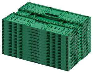 Berry Crate Set 60x40x22cm (12 pcs)