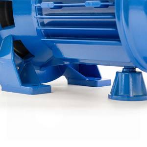 Self-priming electric pump Ebara JESX 05 300-2700L/h