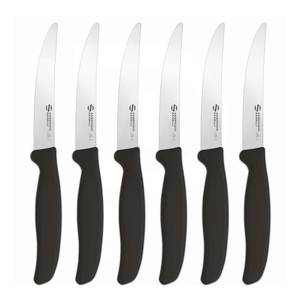 Kepsnio peilis 12cm rinkinys 6vnt. Ambrogio Sanelli nerūdijantis plienas
