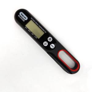 Termomeeter -50...300°C digitaalne kokkupandav