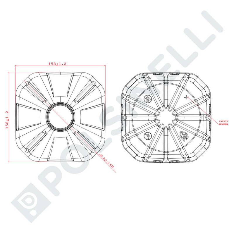 PET kanistras 5L – sraigtinis kaklelis Bericap 48V40 (x49)