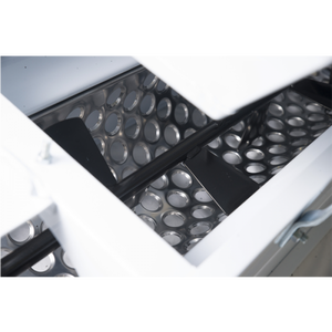 Grape crusher-destemmer Grifo DMC painted with motor 1500kg/h