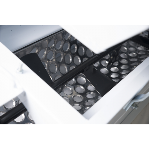 Grape crusher-destemmer Grifo DMC painted with motor 1500kg/h