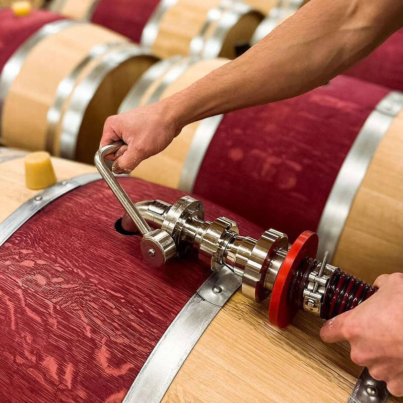 Krāsviela (100g) Vinocolor pulveris mucām