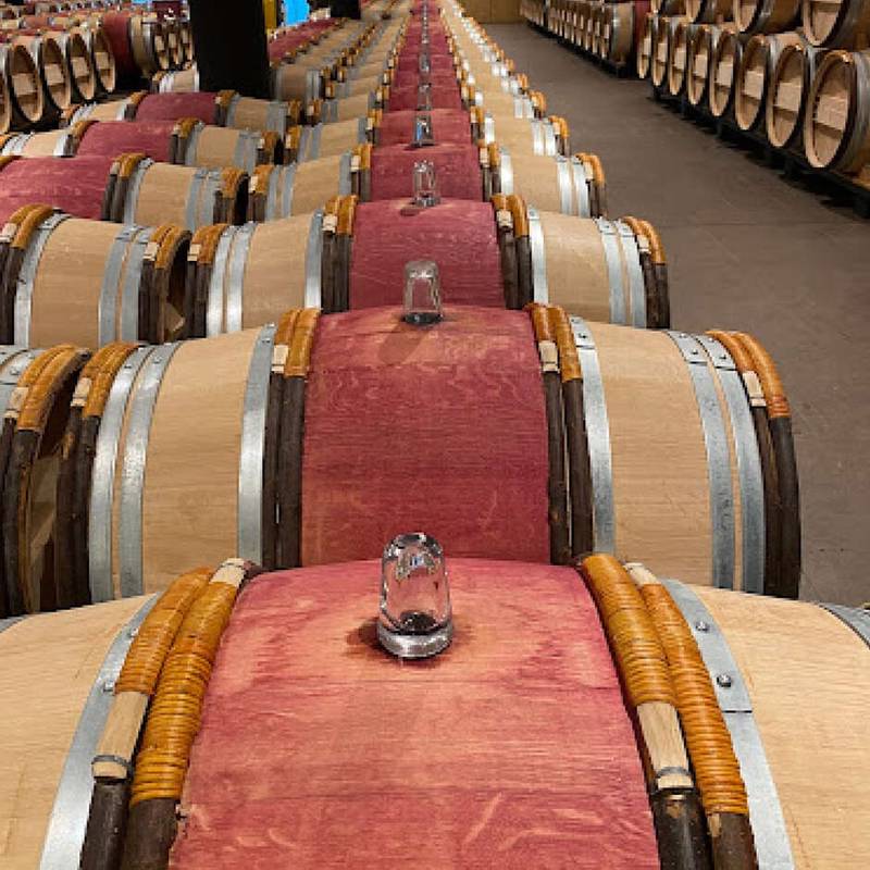 Krāsviela (100g) Vinocolor pulveris mucām