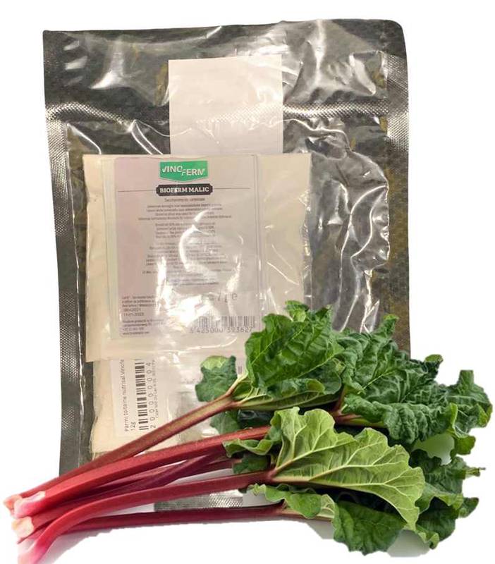 Wein-Starterset 20-25l Rhabarber