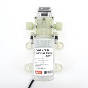 Siphon Pump Atex with 1/2" BSP thread including power supply