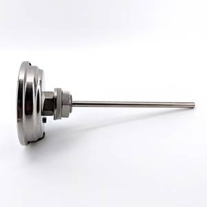Termomeeter 3" sihikuga pikk vars 132mm roostevaba teras