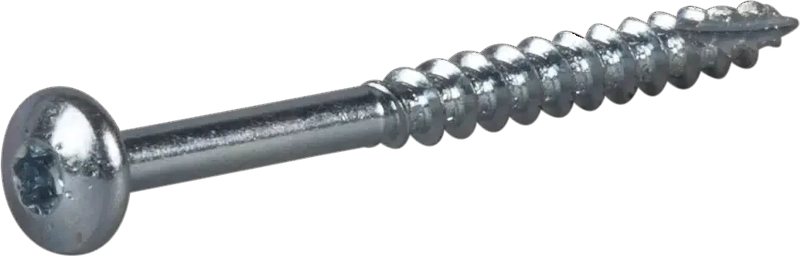 4,0x20 puidukruvi ESSDRIVE ümarpea/tx20 ts/Cl-200tk(6)