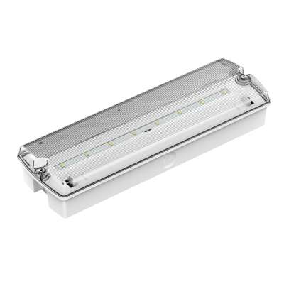 Evakuatsioonivalgusti DP-638 LED/3h IP65 selftest, küttekaabliga
