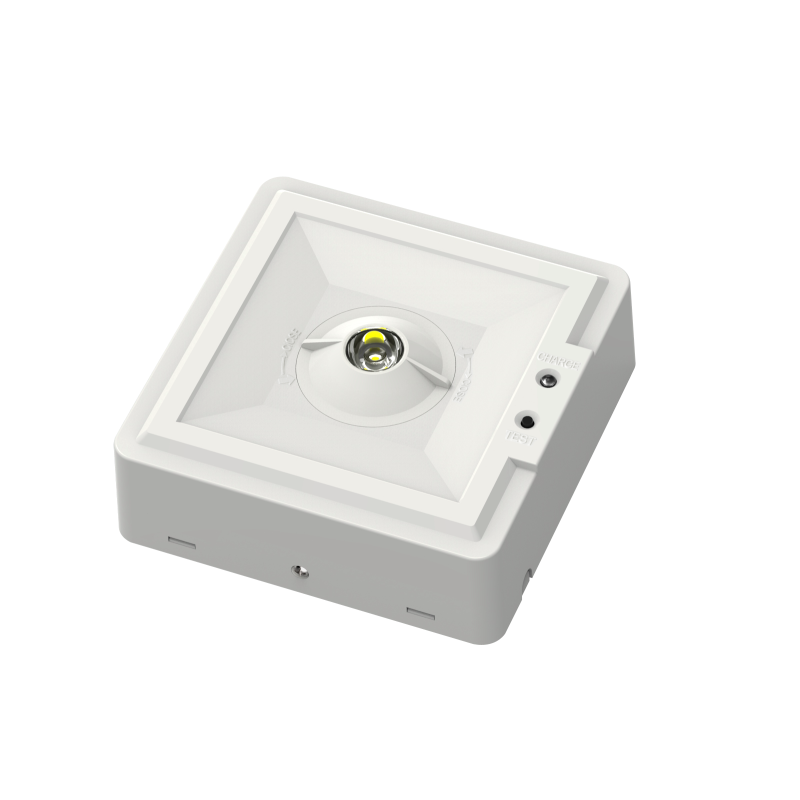 Evakuatsioonivalgusti DP8011LC-NM 2,8 W 3 tundi IP20 p/p (avatud ala ja koridor) isetestiv