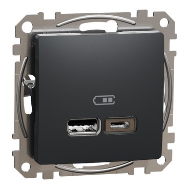 USB LAADIJA A+C 2,4A ANT, Sedna Disain