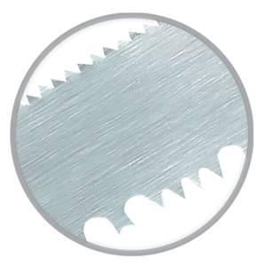 Double-Edged Pruning Saw