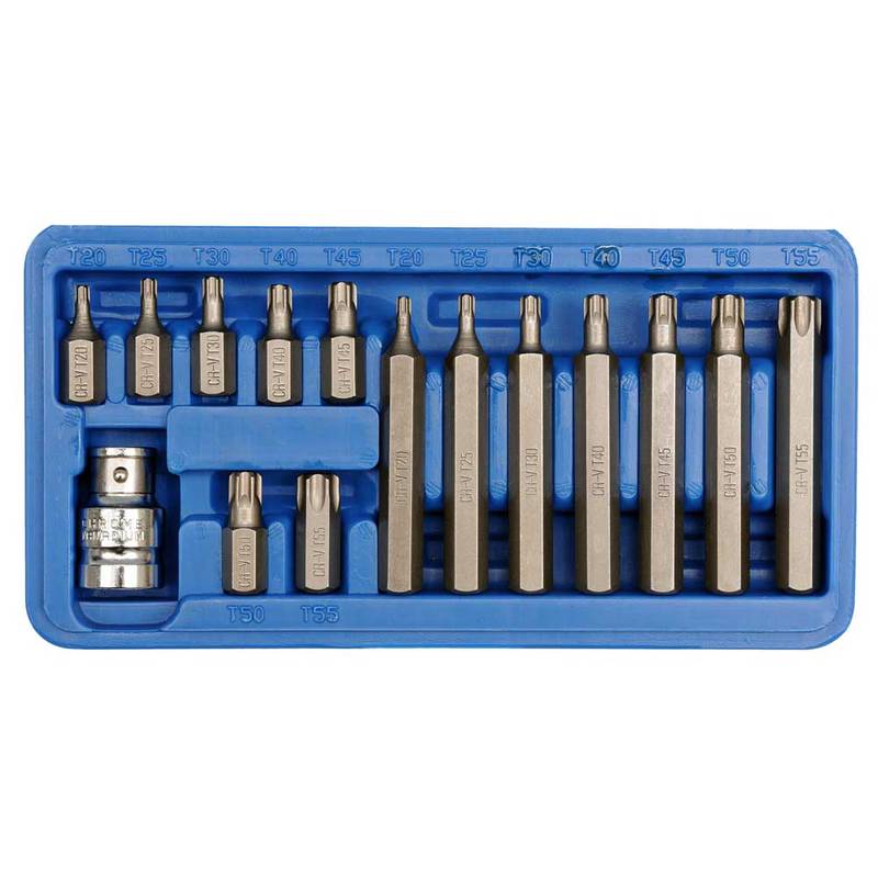 Lühikesed + pikad TORX-otsikud 15 osa