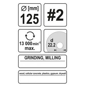 Tapered Rasp Disc 125mm No2