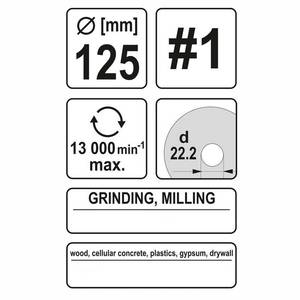 Tapered Rasp Disc 125mm No1