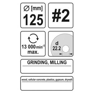 Tapered Rasp Disc 125mm No2