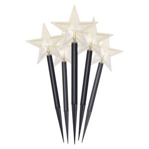 5LED GARDEN STAR 2AA WW