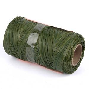 Pakkenöör 2mm 100g,roheline