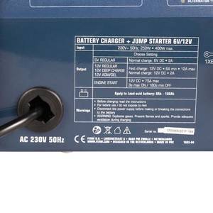 Akulaadija BCM1020 6V/12V