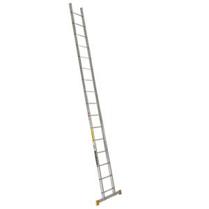 Profi ladder 1x16 FORTE