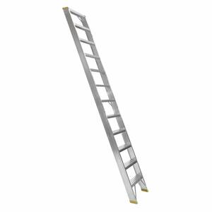 Profi step ladder 1x12 FORTE