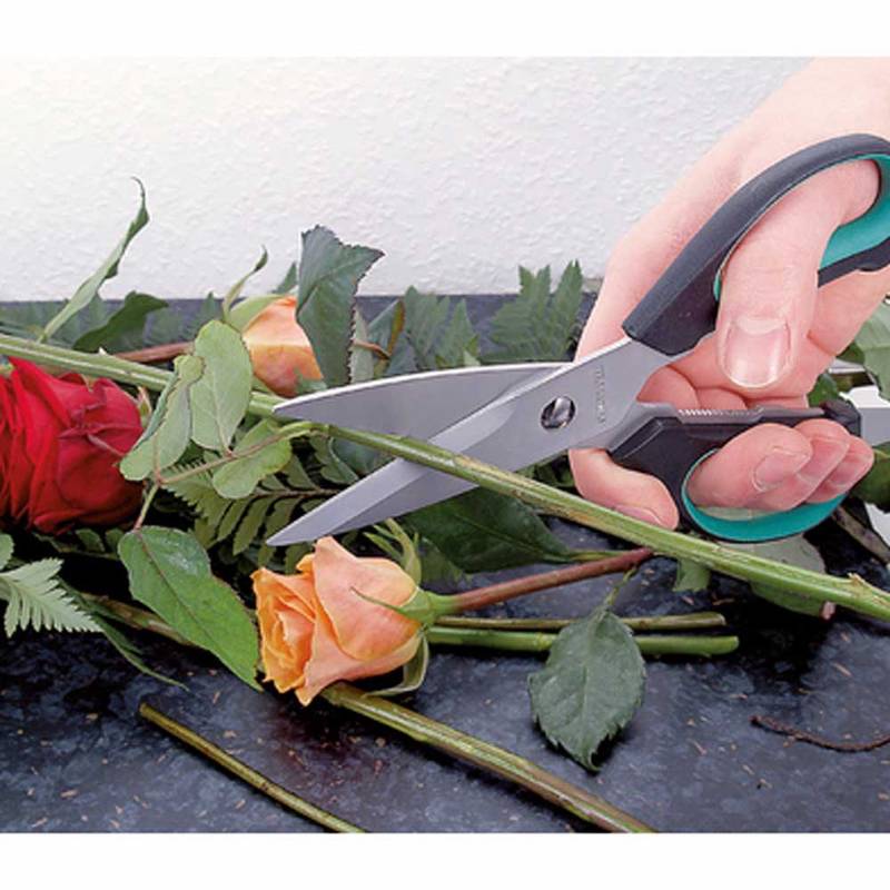 Universal household scissors