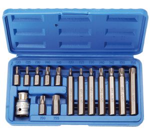 TORX-otsikute komplekt 15 osa T20-T55 pikad+lühikesed