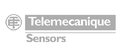 telemecanique logo