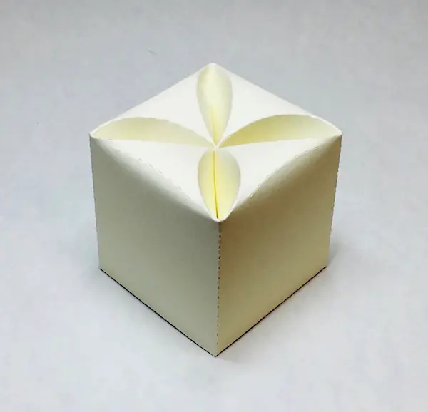 Karp LILL 6 x 6 x 5 cm - Loodusvalge