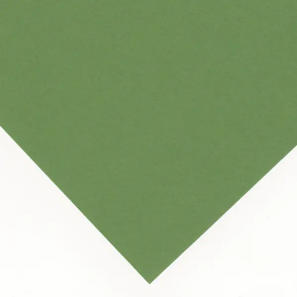 Cardboard FK300 300 gsm 70 x 100 cm 0,35 mm - Apple green