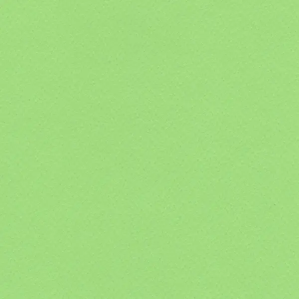 Cardboard for pastel 220 gsm 70 x 100 cm - Light green