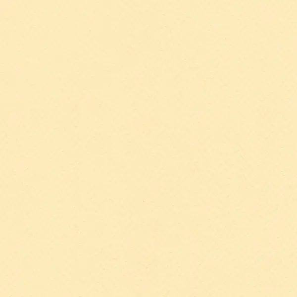 Cardboard for pastel 220 gsm 70 x 100 cm - Chamois