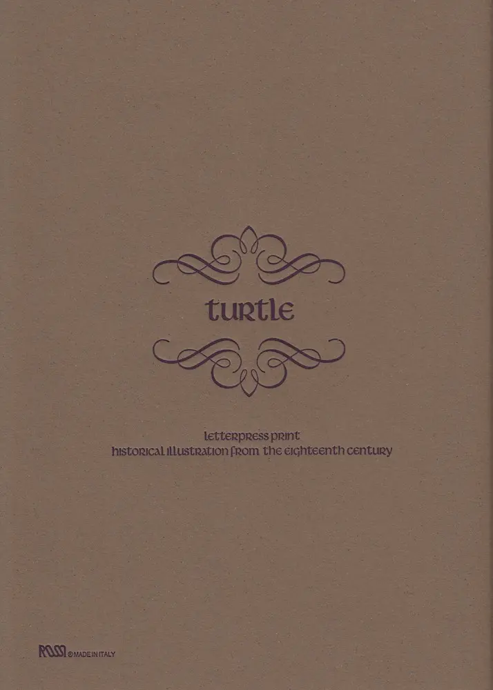 Notebook softcover 15 x 21 cm (A5) 64 sheets - Turtle