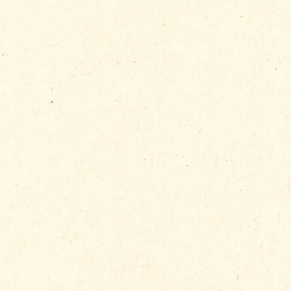 Decorative paper WOODSTOCK 110 gsm 21 x 29,7 cm (A4) 50 Sheets - Betulla