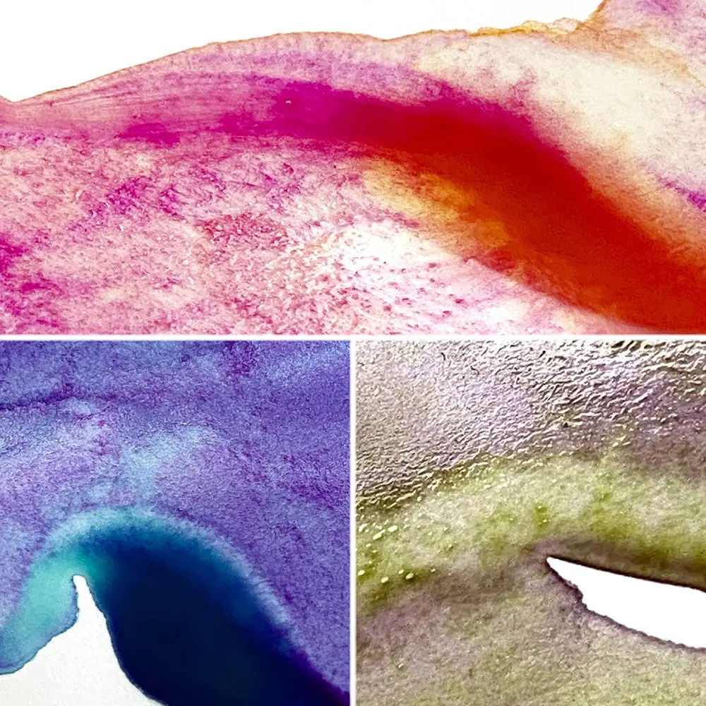 Akvarellvärvid GANSAI TAMBI GRANULATING COLORS 2 - 5 värvi