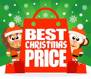 Nervous about Christmas Sales? Survive with these 4 tips. blog post cover image