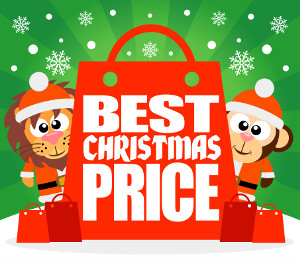 Nervous About Christmas Sales Survive With These 4 Tips blog post image